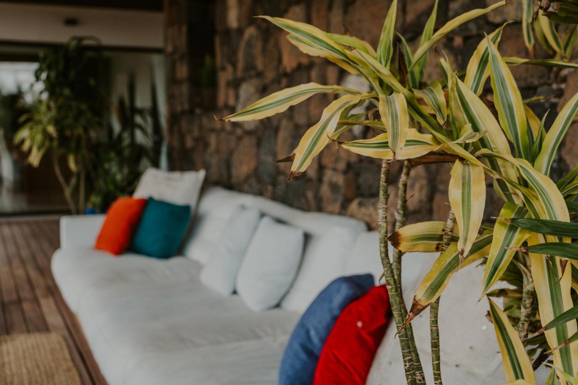 Villa Shepherd Lajares - Luxury Villa Fuerteventura Eksteriør bilde